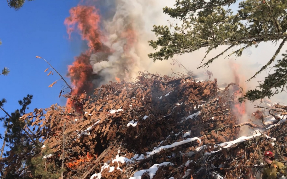 Pile burns planned for Lake Bowdoin Area Bureau of Land Management
